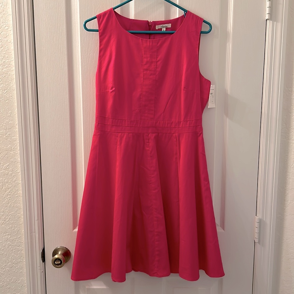 NWT Amelia pink dress
